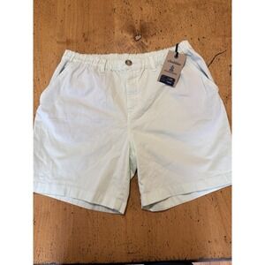 NWT Chubbies The Sea Foams Men's Shorts Size X-Large Light Mint Green 7' Inseam
